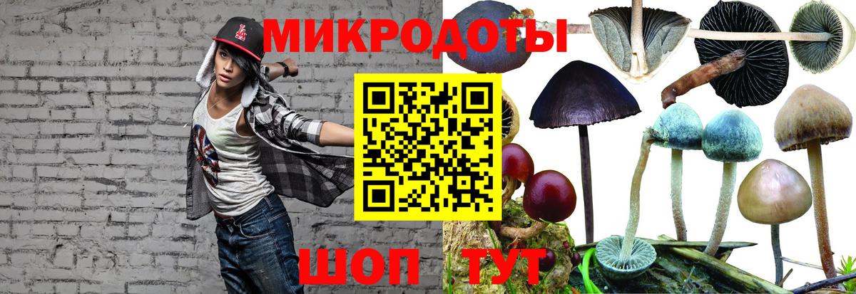 Людиново  Галлюциногенные грибы GOLDEN TEACHER  где можно купить   Вход с VPN 